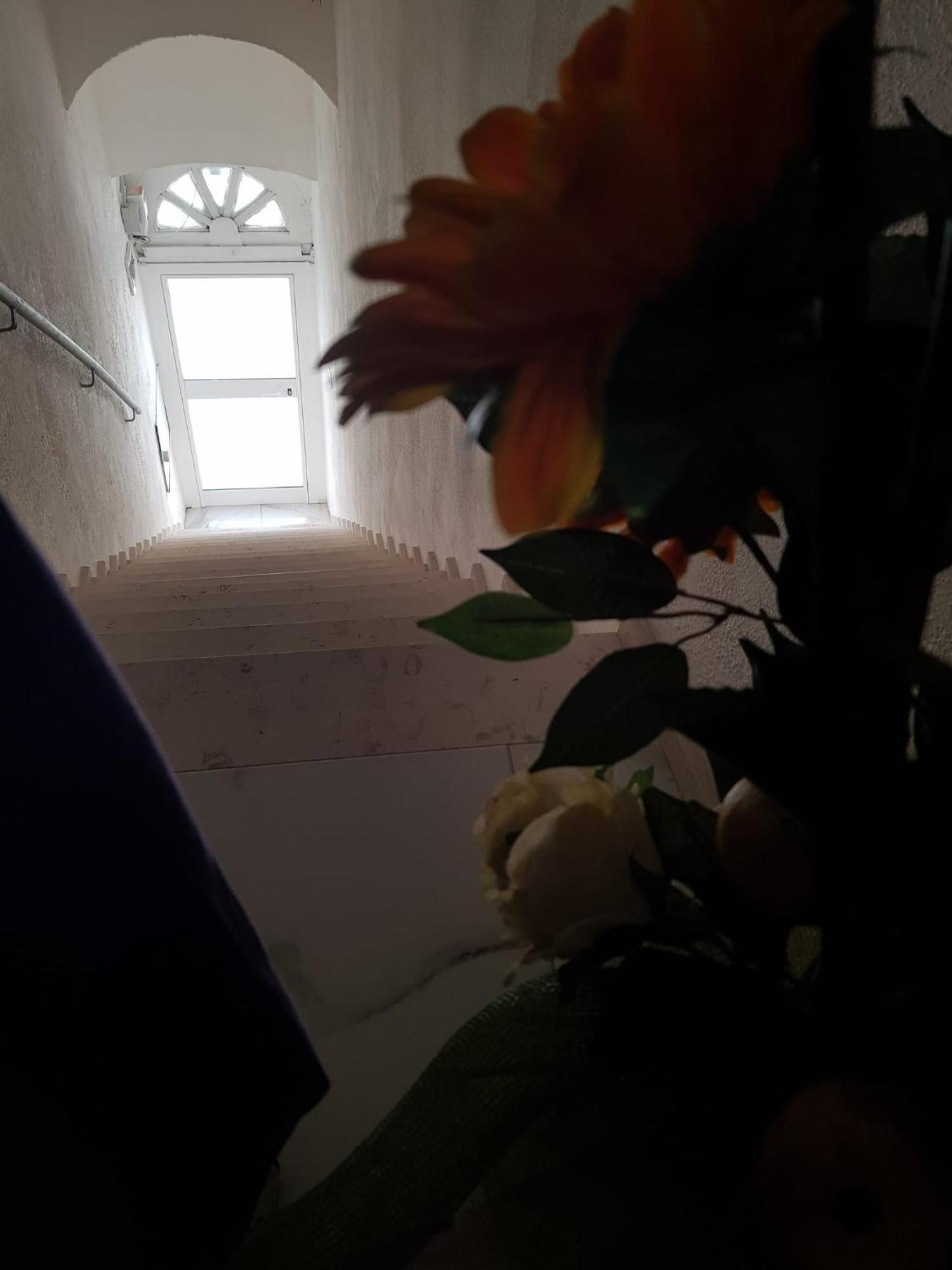 Di Fronzo Guest House T Triggiano Zewnętrze zdjęcie